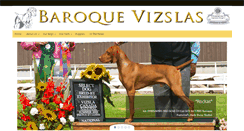 Desktop Screenshot of baroquevizslas.com