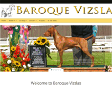 Tablet Screenshot of baroquevizslas.com